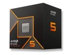 AMD Ryzen 5 9600 / 3.8 GHz processor - OEM