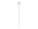 Apple - Lightning cable - Lightning male to USB male - 1 m