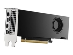 NVIDIA RTX 2000 Ada Generation - graphics card - NVIDIA RTX 2000 Ada - 16 GB