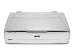 Epson Expression 13000XL - flatbed scanner - desktop - USB 2.0