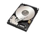 Lenovo - hard drive - 2 TB - SATA 3Gb/s