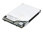 Lenovo - hard drive - 2 TB - SATA 6Gb/s