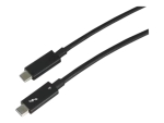 LINTES TAA200-E60 - Thunderbolt cable - 24 pin USB-C to 24 pin USB-C - 2 m