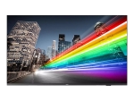 Philips 65BFL2214 65" LED-backlit LCD TV - 4K - for digital signage