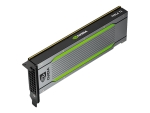 NVIDIA Tesla T4 - GPU computing processor - Tesla T4 - 16 GB