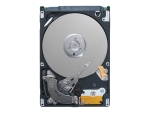 Seagate Momentus Laptop ST9250410AS - hard drive - 250 GB - SATA 3Gb/s