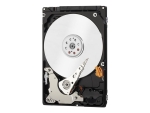 WD Laptop Mainstream WDBMYH0010BNC - hard drive - 1 TB - SATA 3Gb/s