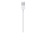 Apple - Lightning cable - Lightning male to USB male - 1 m - for iPad/iPhone/iPod (Lightning)