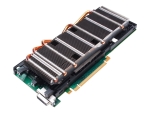 NVIDIA Tesla M10 - GPU computing processor - 4 GPUs - Tesla M10 - 32 GB