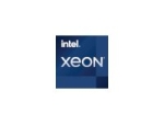 Intel Xeon E-2378G / 2.8 GHz processor - OEM