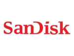SanDisk - solid state drive - 16 GB - FRU