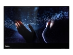 Lenovo ThinkVision M14t - LED monitor - Full HD (1080p) - 14"