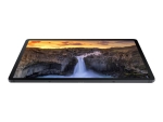 Samsung Galaxy Tab S7 FE - Tablet - Android - 128 GB - 12.4" TFT (2560 x 1600) - microSD slot - 3G, 4G, 5G - mystic black