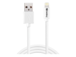 Sandberg Lightning cable - Lightning / USB - 2 m
