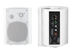 VivoLink VLSP65AW - speakers - for PA system