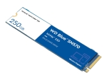 WD Blue SN570 NVMe SSD WDS250G3B0C - solid state drive - 250 GB - PCI Express 3.0 x4 (NVMe)